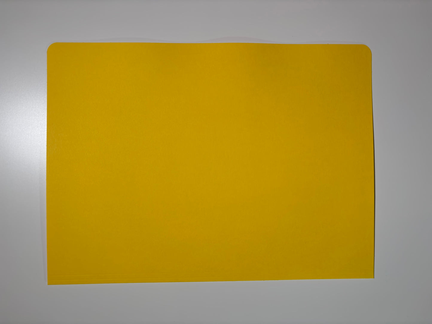 RA-Handakte unbedruckt - 100 Stück je Einheit