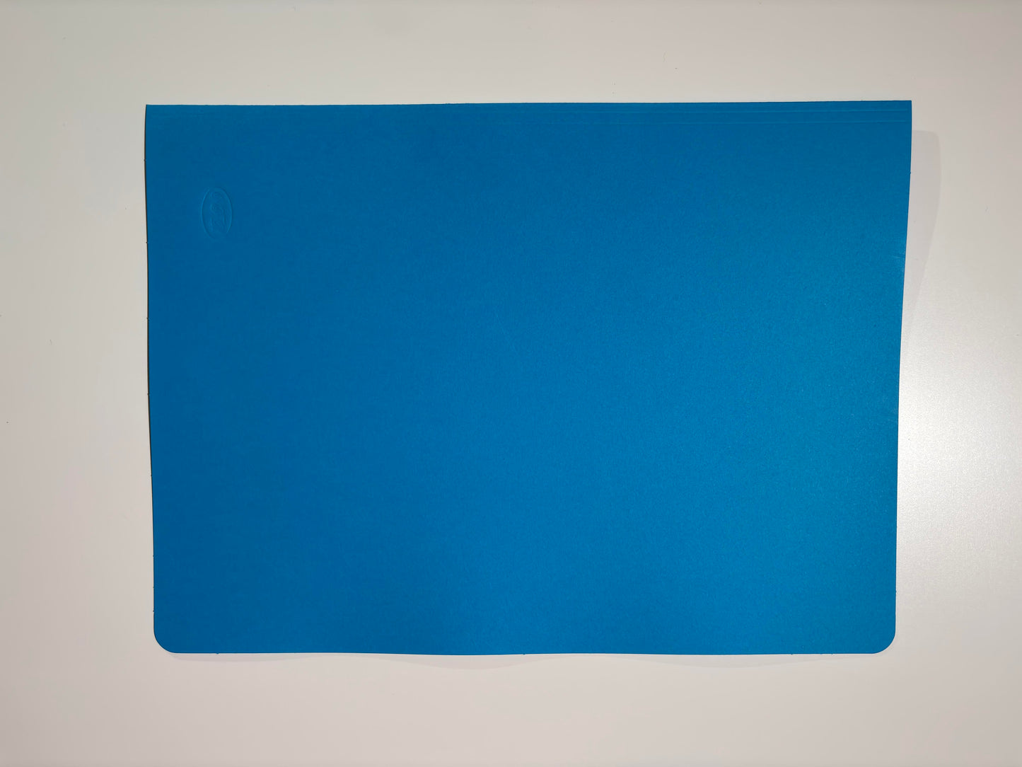 RA-Handakte unbedruckt - 100 Stück je Einheit