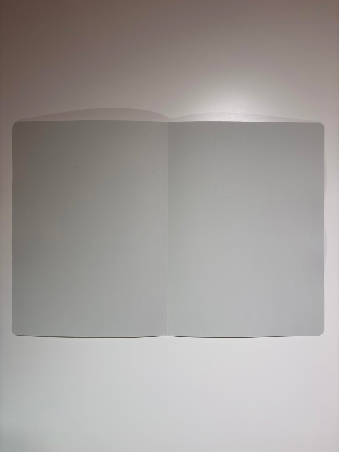 RA-Handakte unbedruckt - 100 Stück je Einheit